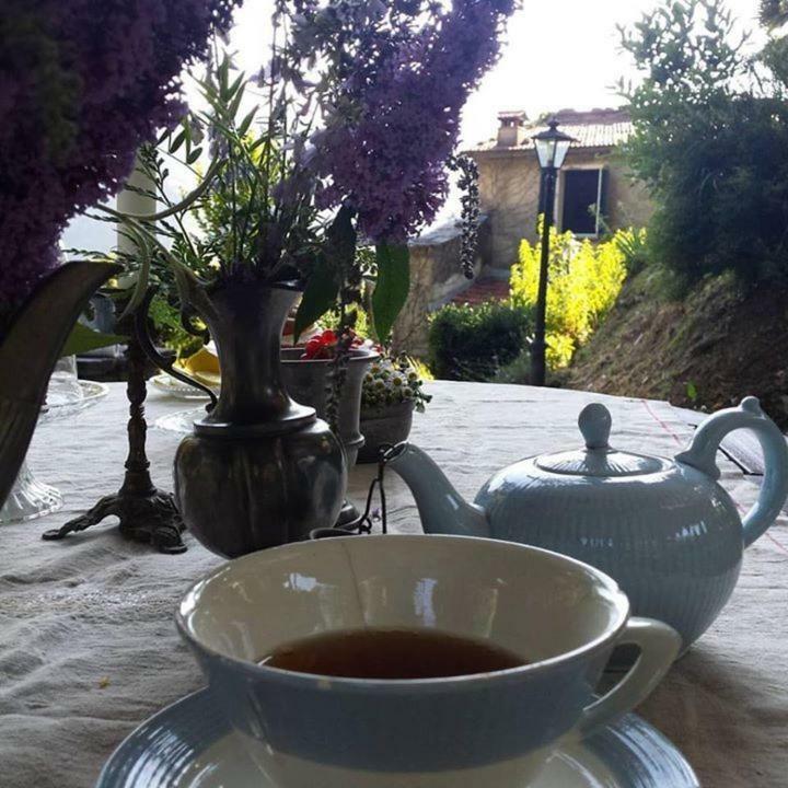 Casa Emilia Villa Stazzema Bagian luar foto