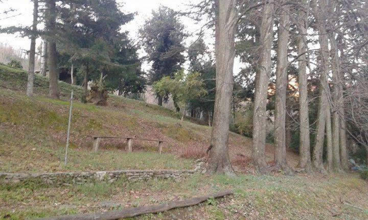 Casa Emilia Villa Stazzema Bagian luar foto