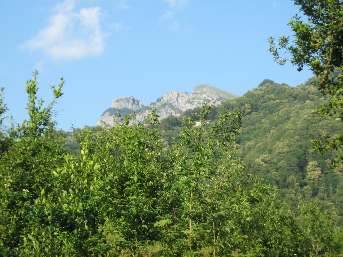 Casa Emilia Villa Stazzema Bagian luar foto