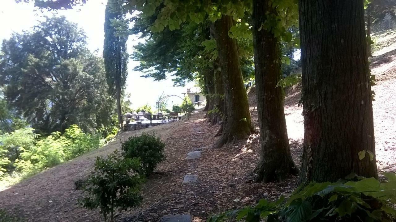 Casa Emilia Villa Stazzema Bagian luar foto